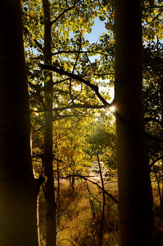 20160918FallColor8158