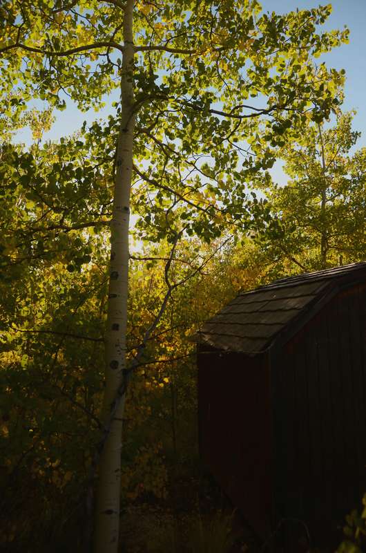 20160918FallColor8197