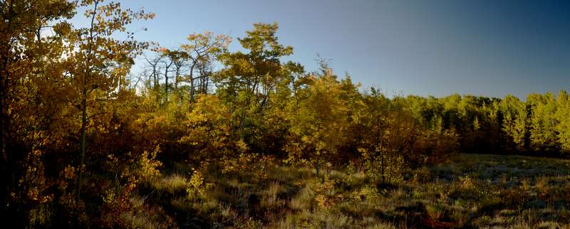 20160918Pano19-21