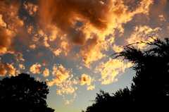 20160918FallColor8056