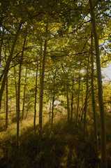 20160918FallColor8195