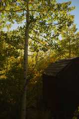 20160918FallColor8197