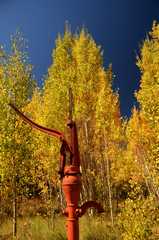 20160918FallColor8272