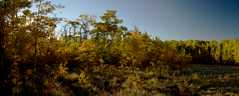 20160918Pano19-21