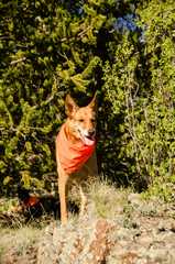 20170610Camping1139