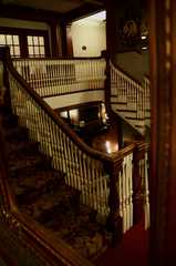 20190127Stanley_4752