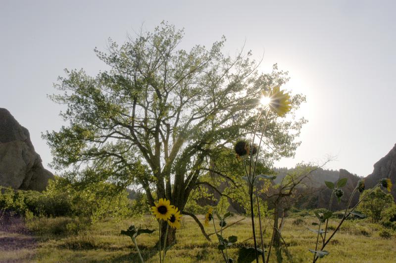 Roxborough2002.0451