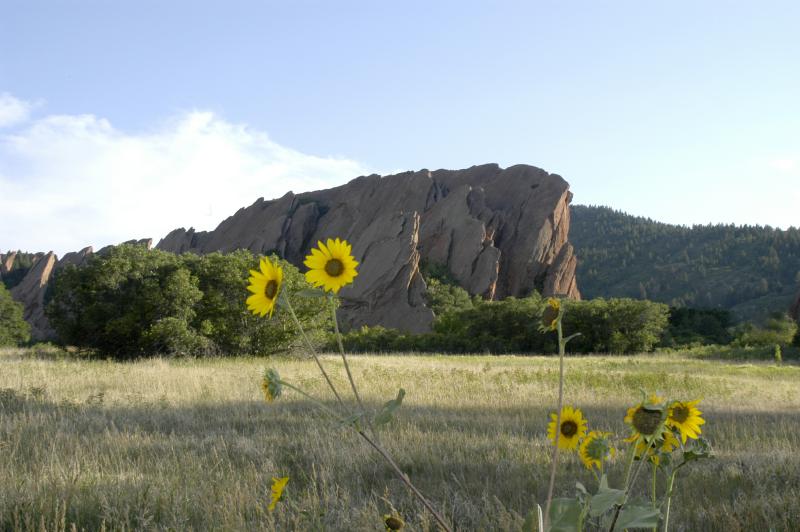 Roxborough2002.0485