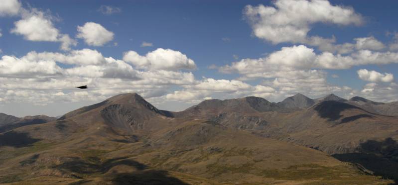 Bierstadt2875Free