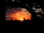 FramedSunrise