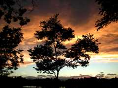 WashParkSilhouette001