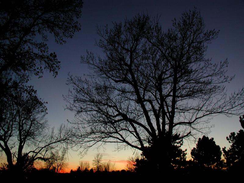 WashParkSilhouette002