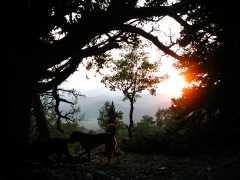 FramedSunset