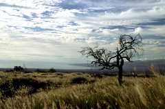 GrassFields2ph