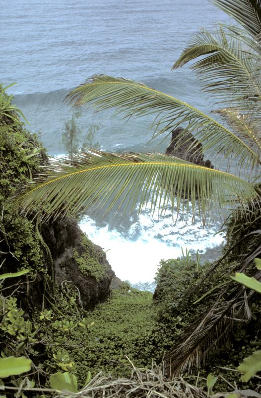 SouthMauiCoast3