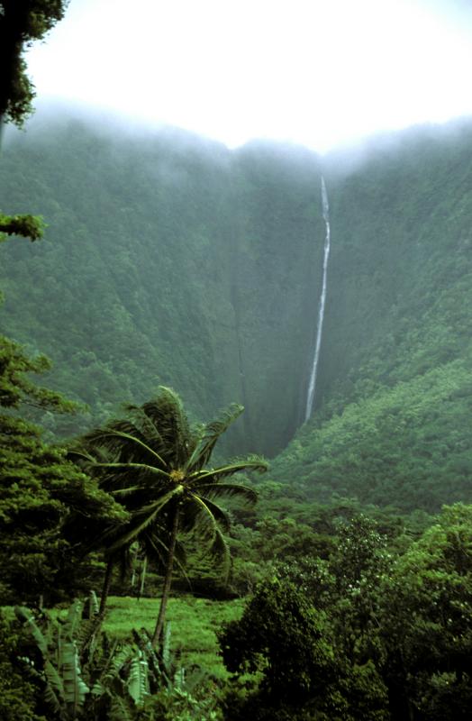WaipioValley3