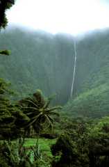 WaipioValley3