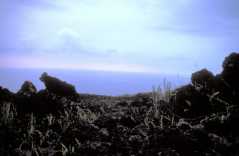 LavaCoast03