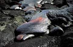 LavaFlow02