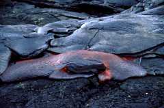 LavaFlow04