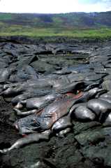 LavaFlow12