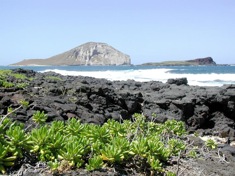 062500.Oahu.Coast.09ph