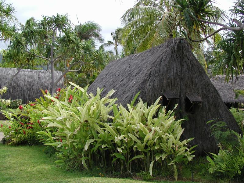 062702.PolynesianCC20