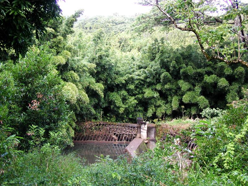063002.RoadToHana598ph
