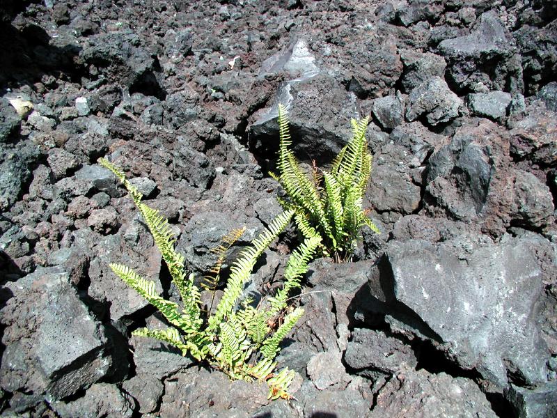 070202.Volcano0910ph