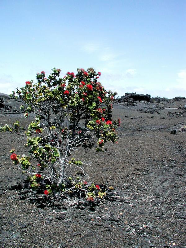 070202.Volcano0940rph