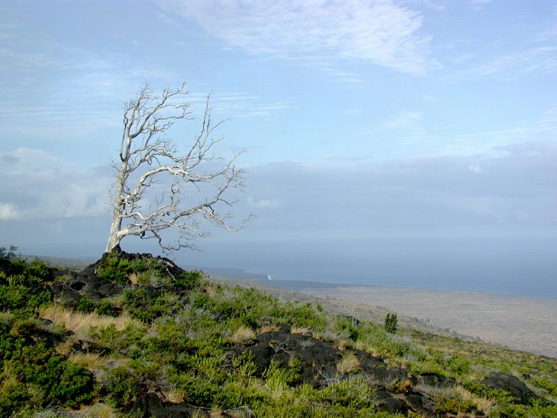 070202.Volcano1023ph