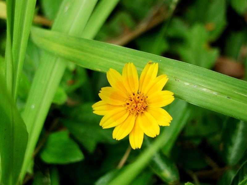 070302.WaipioValley33ph
