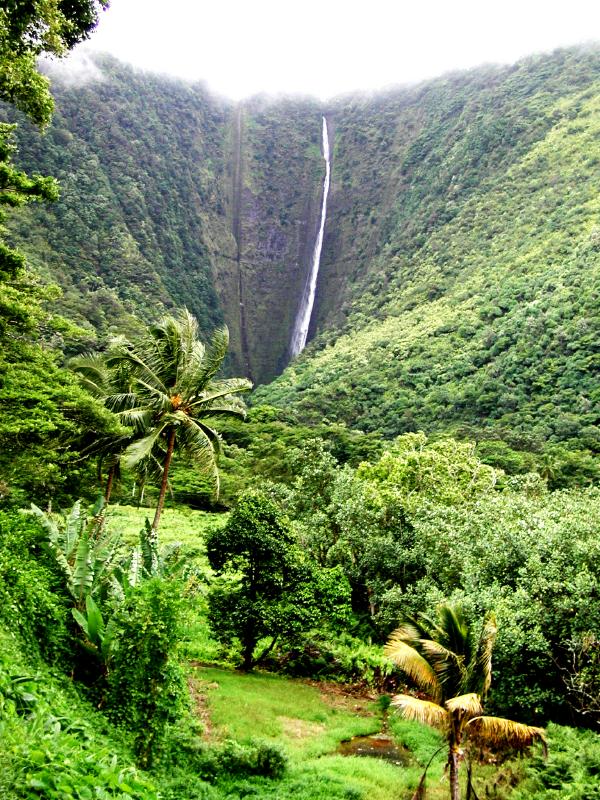 070302.WaipioValley53rph