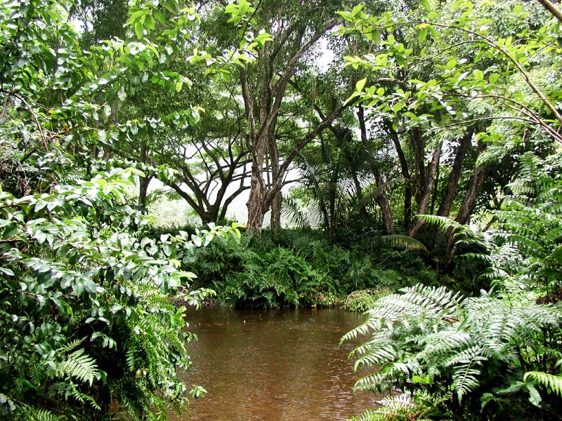 070302.WaipioValley73ph