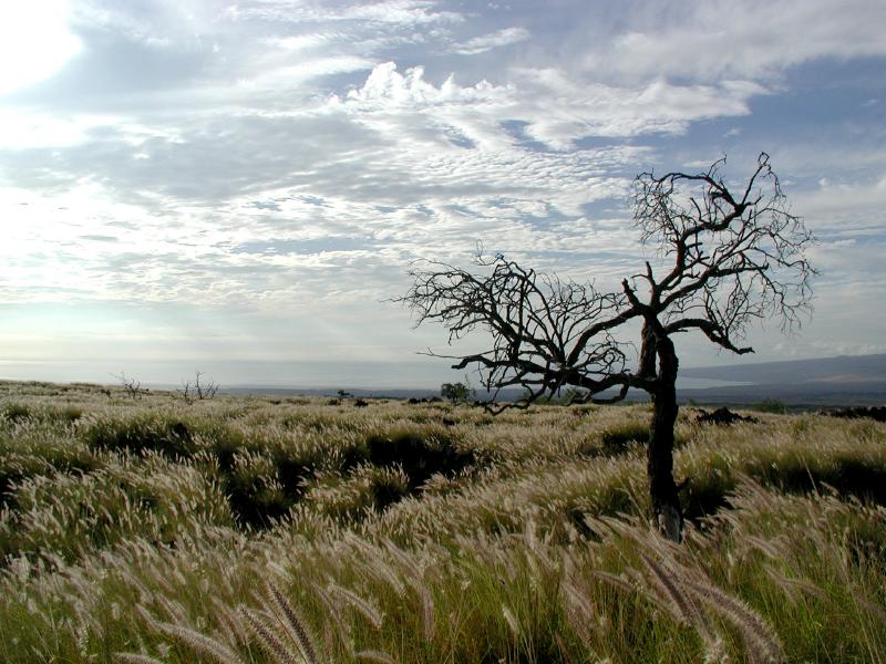 070402.GrassFields82ph