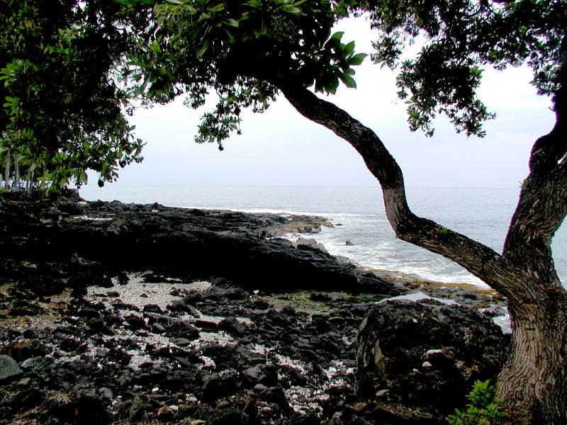 070402.KonaCoast261ph