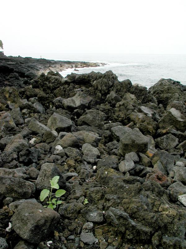 070402.KonaCoast266rph