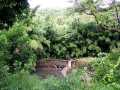 063002.RoadToHana598ph