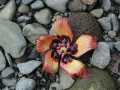 063002.RoadToHana639