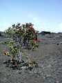 070202.Volcano0940rph