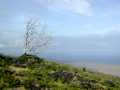 070202.Volcano1023ph