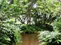 070302.WaipioValley73ph
