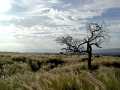 070402.GrassFields82ph