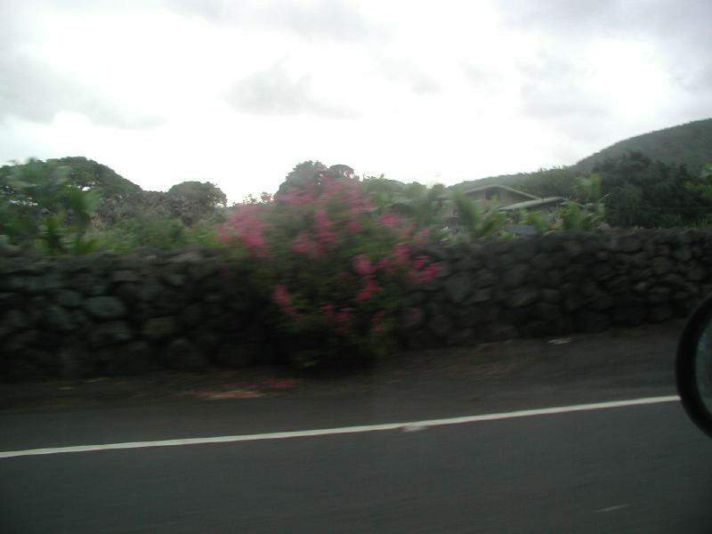 070202.Driving65