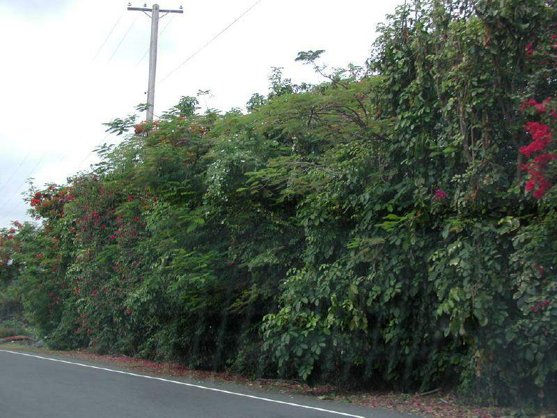 070202.Drivinga908