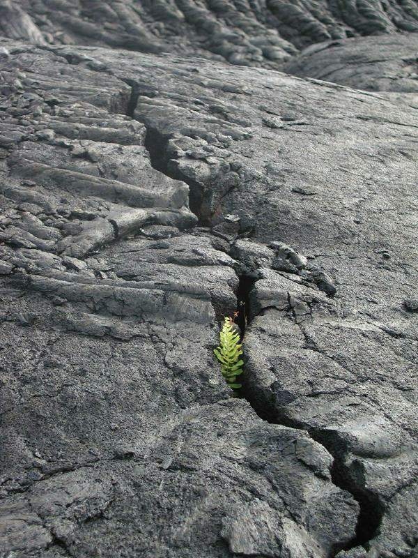 070202.Volcano0980r