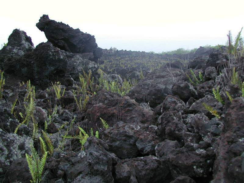 070202.Volcano1085