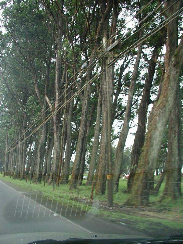 070302.Driving124r