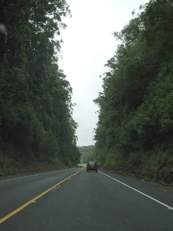070302.Driving131r