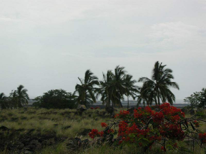 070302.Driving238